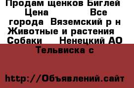 Продам щенков Биглей › Цена ­ 15 000 - Все города, Вяземский р-н Животные и растения » Собаки   . Ненецкий АО,Тельвиска с.